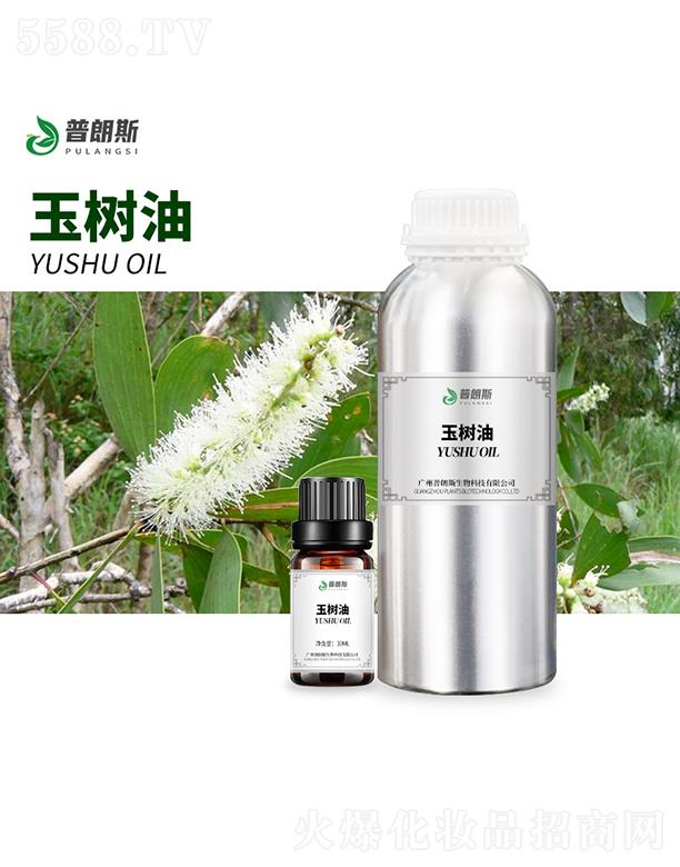 ����˹���(sh��)��