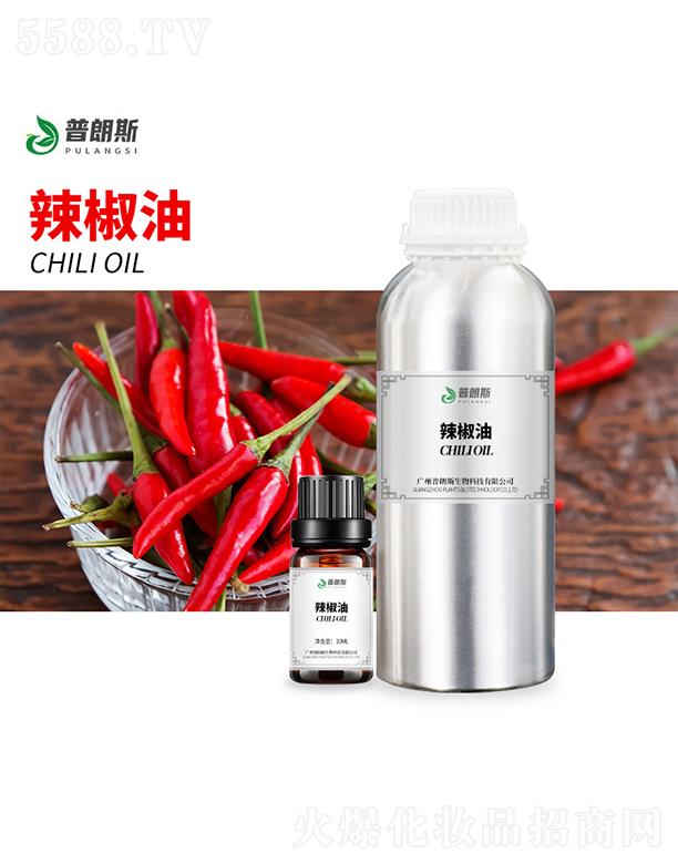 ����˹������