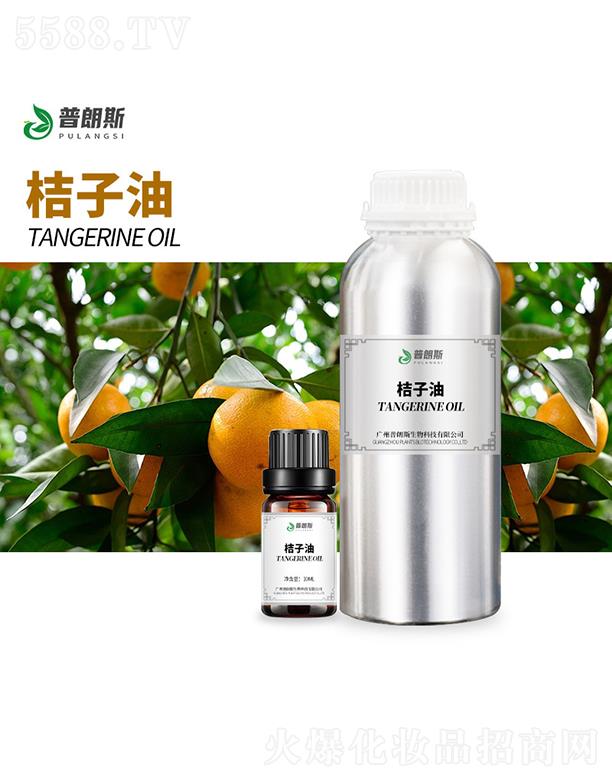 ����˹������