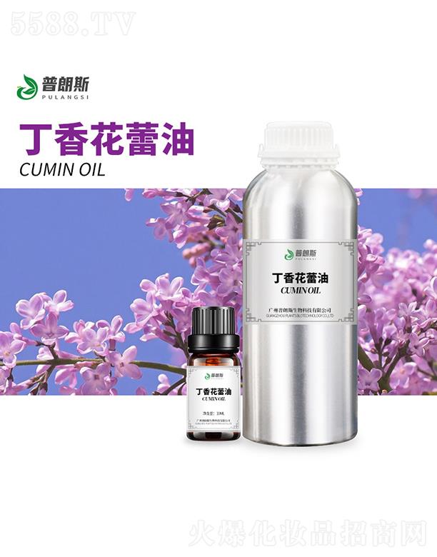 ����˹���㻨����