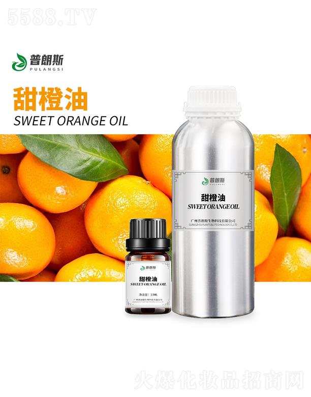 ����˹�����