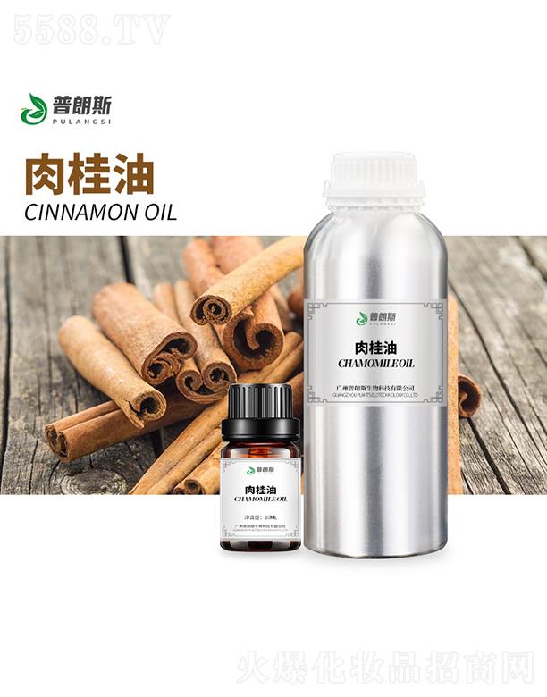 ����˹�����