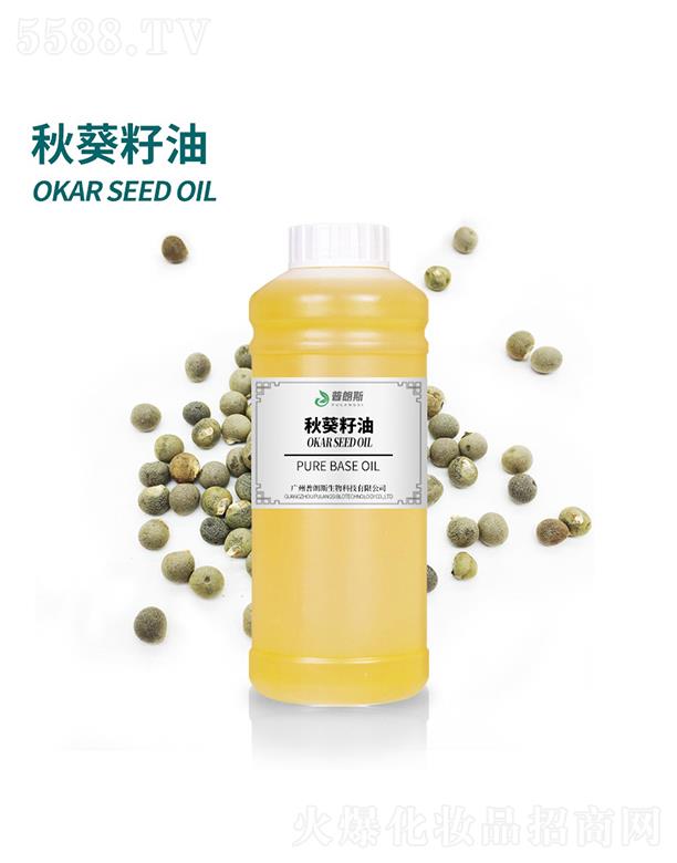 ����˹�������