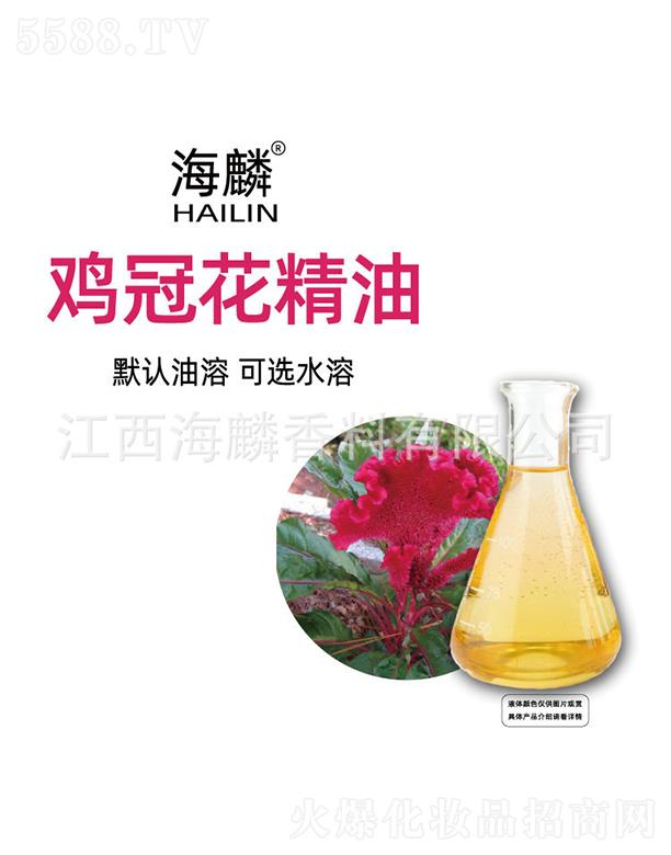 �����u�ڻ�����