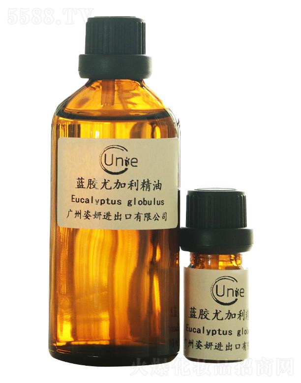 �����{(l��n)�z�ȼ�������