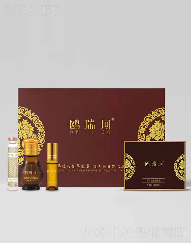 �t����ݱ���