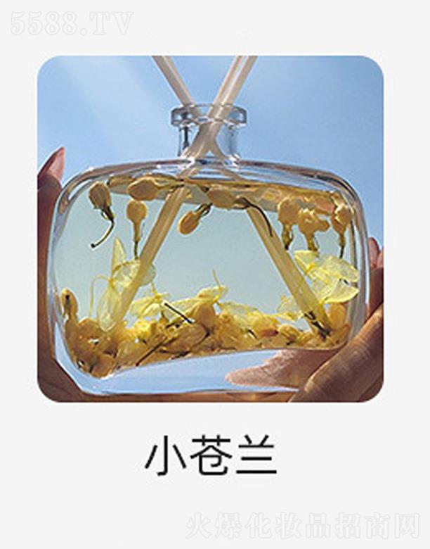 �o(w��)����޹����-С�n�m