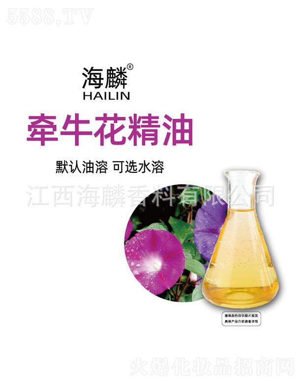 ���렿��������