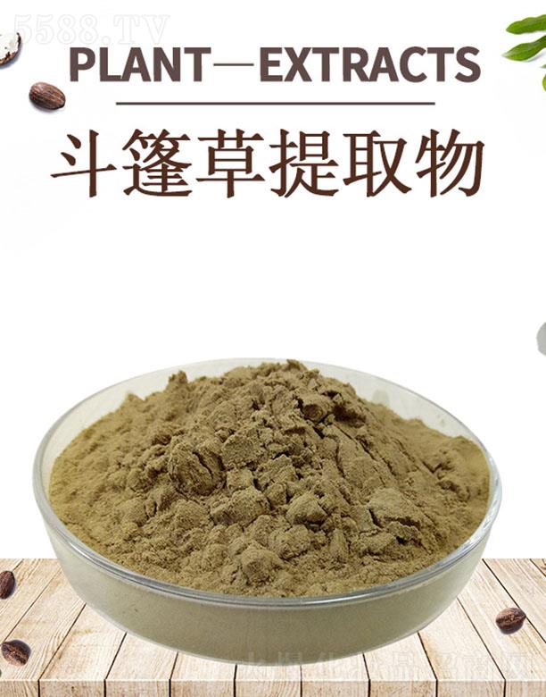 �ĺ��������ȡ��