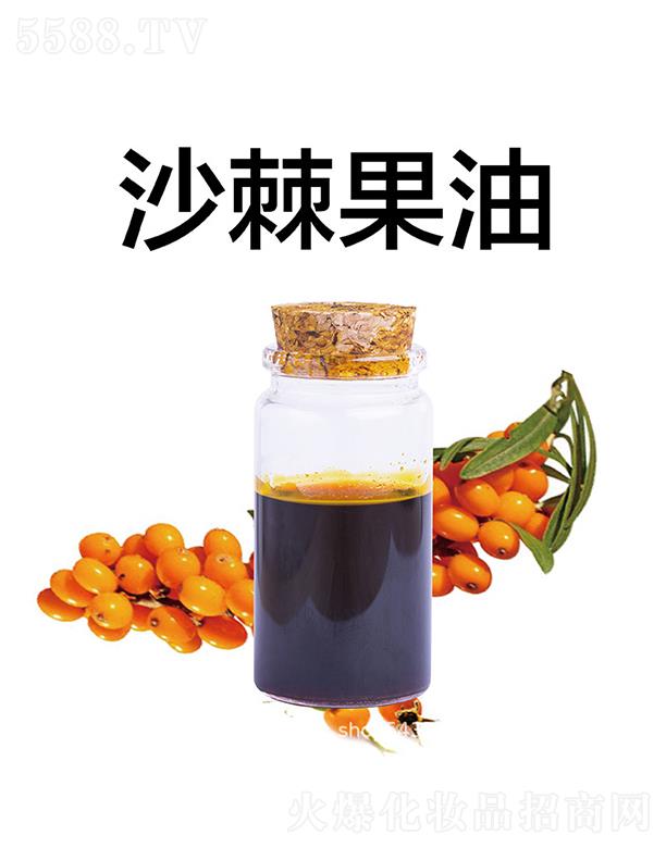 ����ɳ������