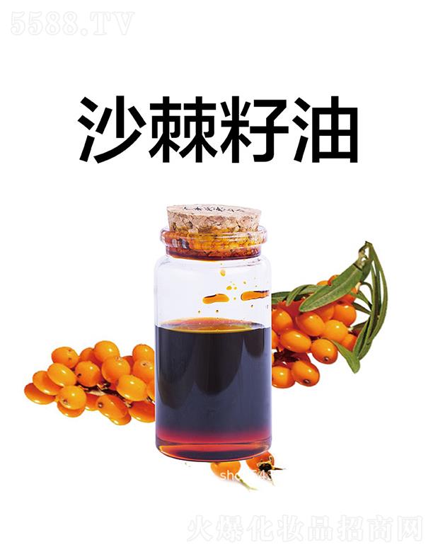 ����ɳ������