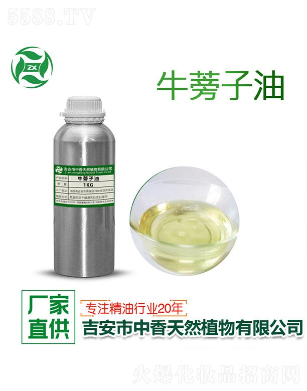 ����ţ������