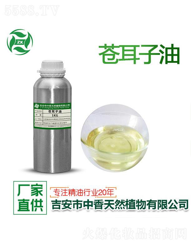 �����n������ 1kg