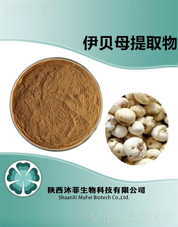 �����ؐĸ��ȡ��