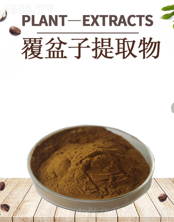 �ĺ���������ȡ��