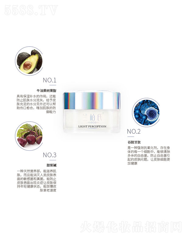 �m���σ���w�O�⾫�A˪