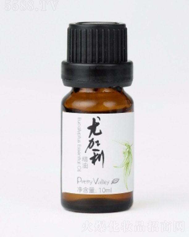 �ȼ������� 5ml