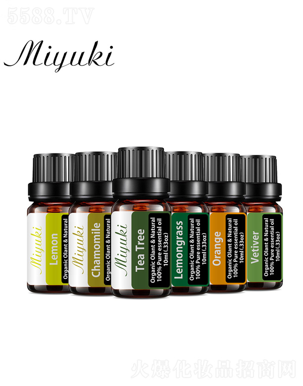 �¿�η�����6����