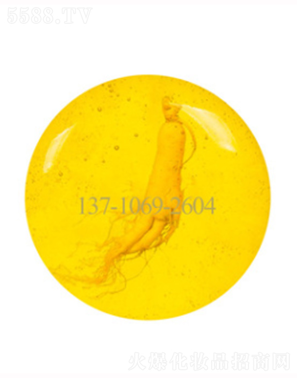 Mory�������w������