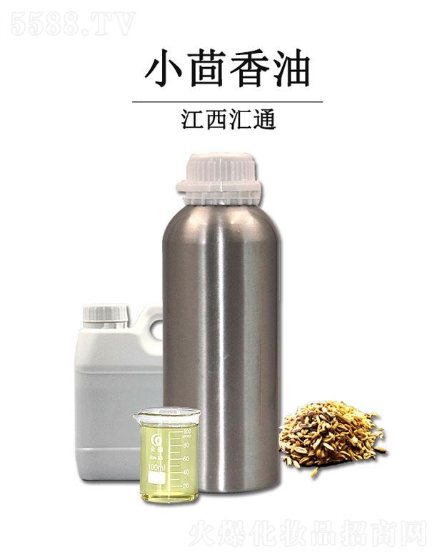 �RͨС������