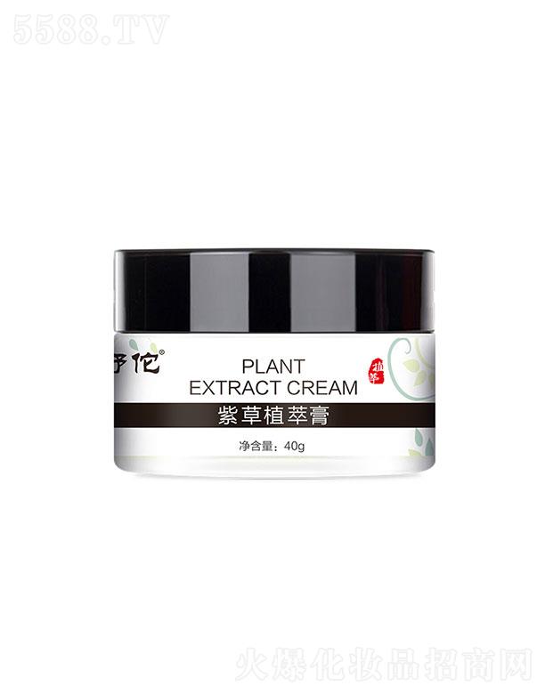 �V���������   ��٢ֲ���ϲݸ�    �����澏