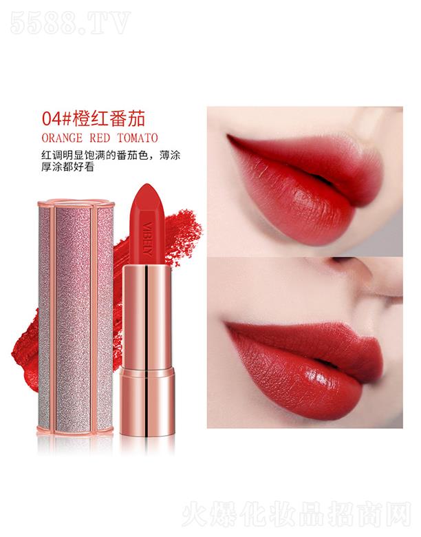 VIBELY�ǿ��Wҫ����ڼt04#�ȼt����