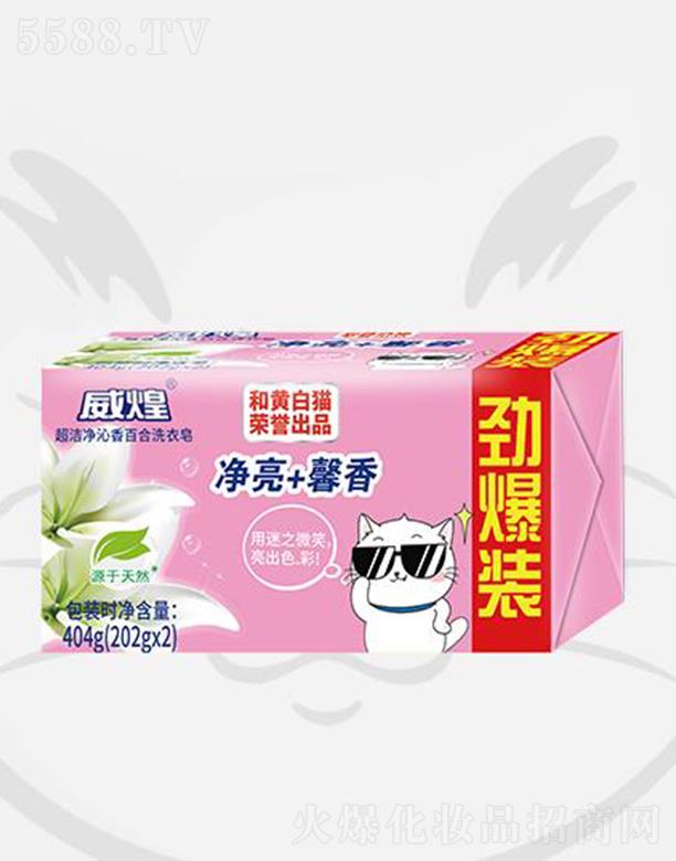 ���ͳ���������ٺ�ϴ���� 404gϴ�����������