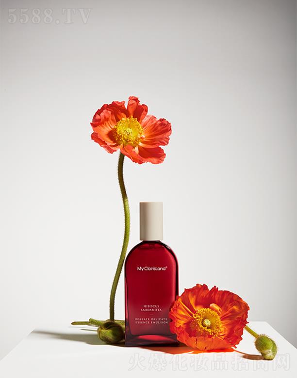 ���ޢ���񻨟��w��(x��)�¾��A��