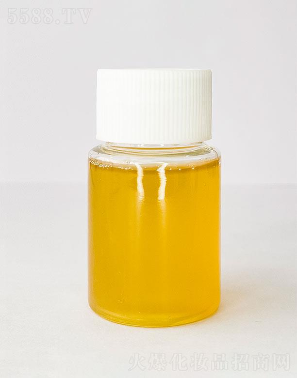 �R�Z�����������A