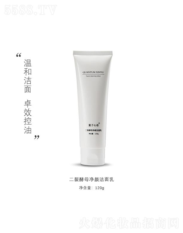 �������ѽ�ĸ�������