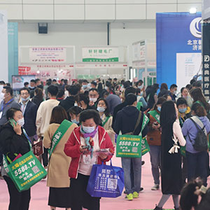 2020��(j��)�ϸ߶����I(y��)���[��(hu��)�҂������̈F(tu��n)�(du��)�c�͑�һ·���S��