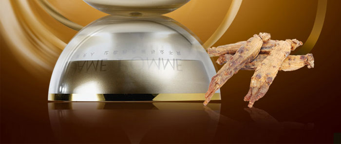 �O������120�ޏ�˪