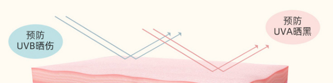 �����p���������x���o(h��)��