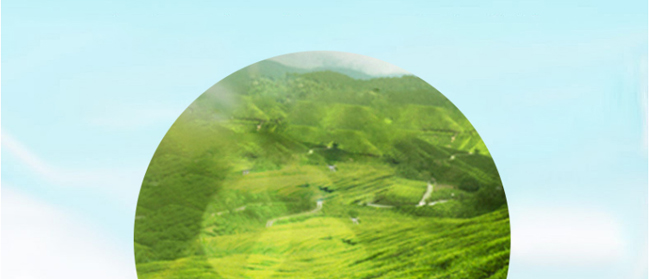 �����_(d��)���ɾ���