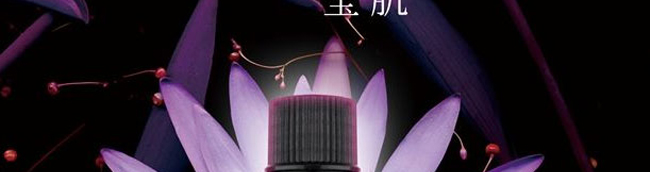 �����_��侫��