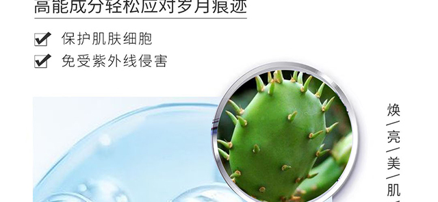 ������ޱ�����������o(h��)���A��