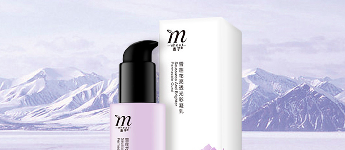 �S�c�ʗ�ѩɏ����͸�������_(k��i)02