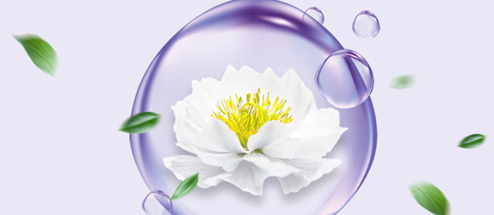 �S�c�ʗ�ѩɏ����͸�������_(k��i)10