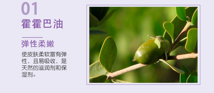 �S�c�ʗ�ѩɏ����͸�������_(k��i)13