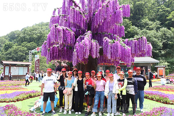 ���h�F�@�Ͼ�ɽ���y�������֮��