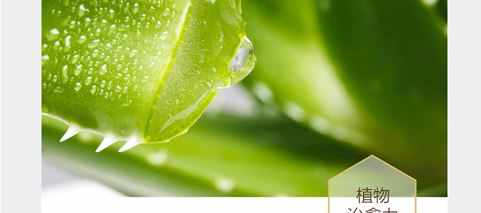 ؐ��ޱԊ�������R���aˮ�ޏ�(f��)���A