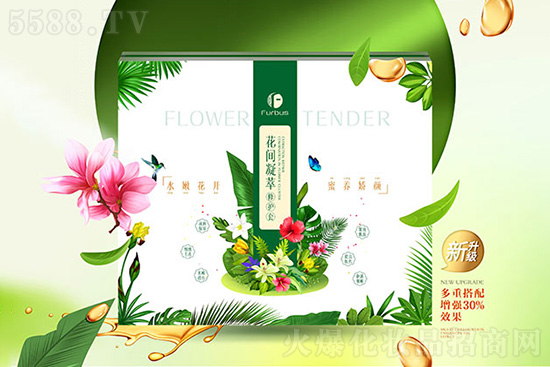 醫(yī)施美花間凝萃修護套 醫(yī)施美花間凝萃修護套