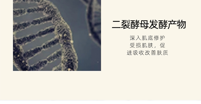 �n�������ם��˪