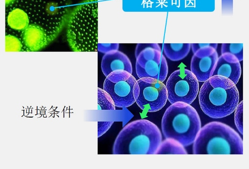 δ��(bi��o)�}-3_08