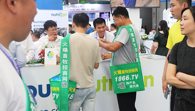 չ������