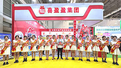 ���ƏV���ݴ�������