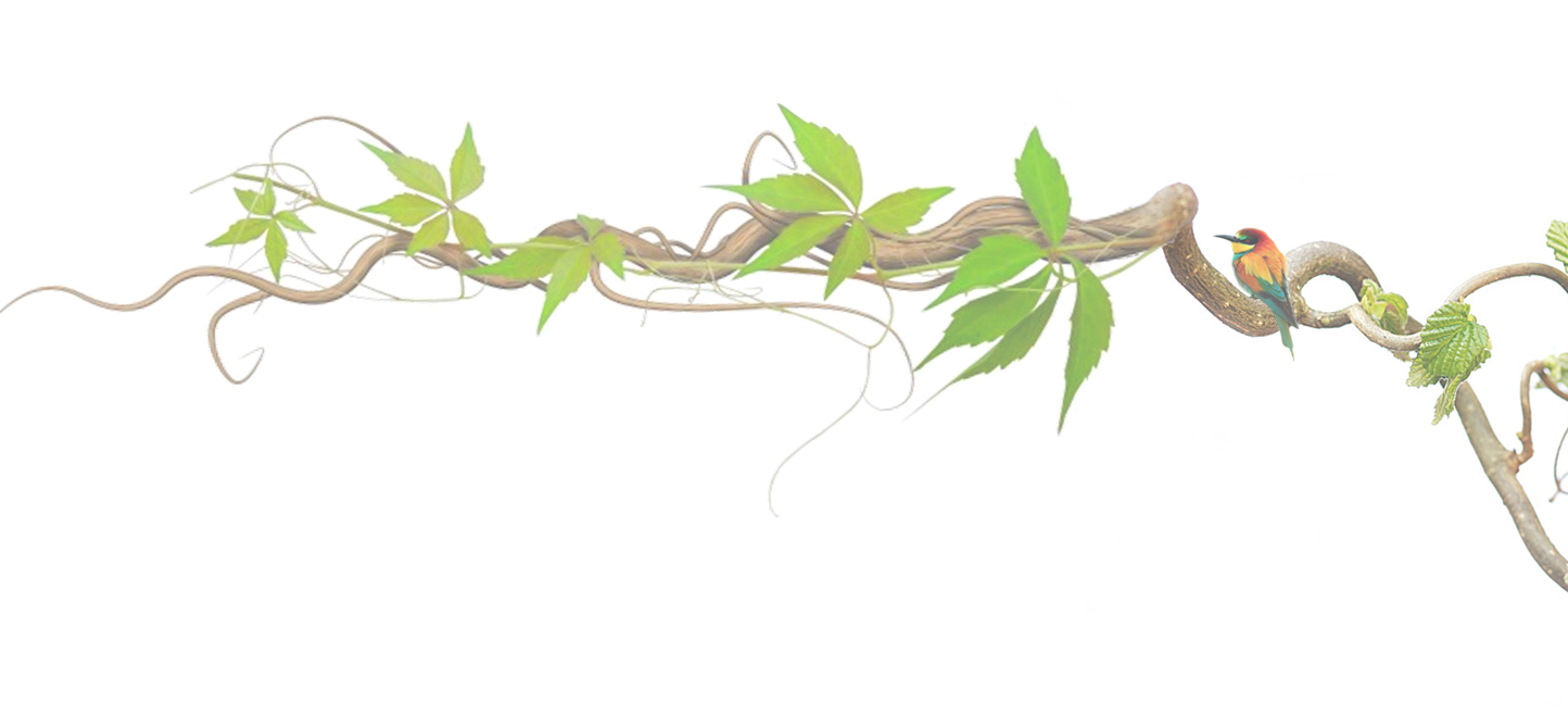 ��(sh��)֦�b�